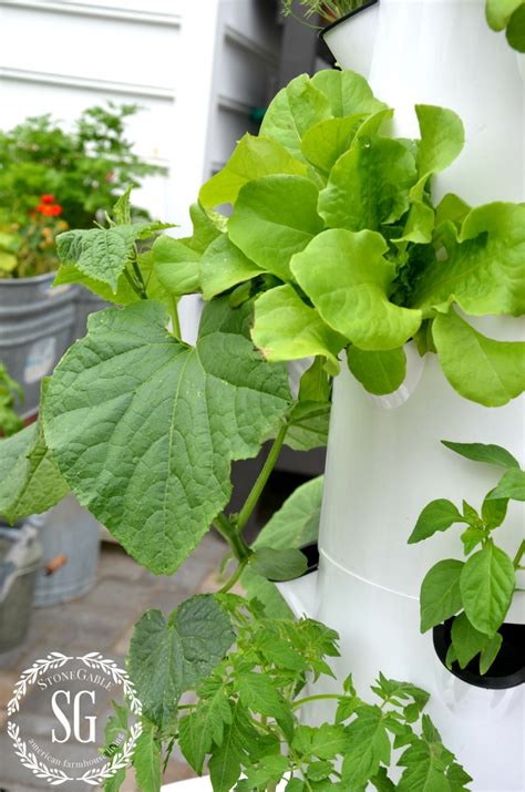 Tower Gardening Fun Nutritional And Delicious Stonegable