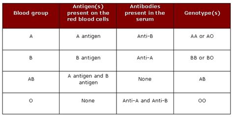 immunology - Why can blood group O be given to all blood groups ...