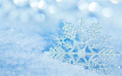 High Resolution Winter Snowflake Background Cute Snowflake Hd