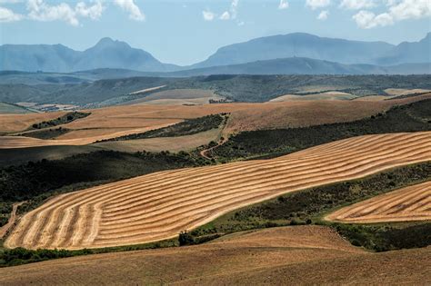 Parliament Resolves On Expropriation Of Land Without Compensation Sa