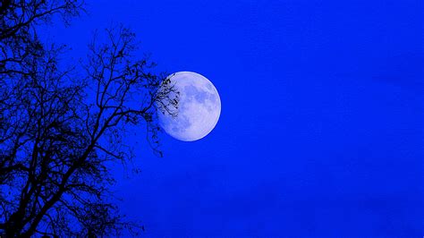 Images Gratuites la nature ciel nuit atmosphère bleu pleine lune