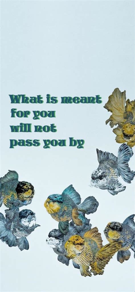 What Is Meant For You Will Not Pass You By