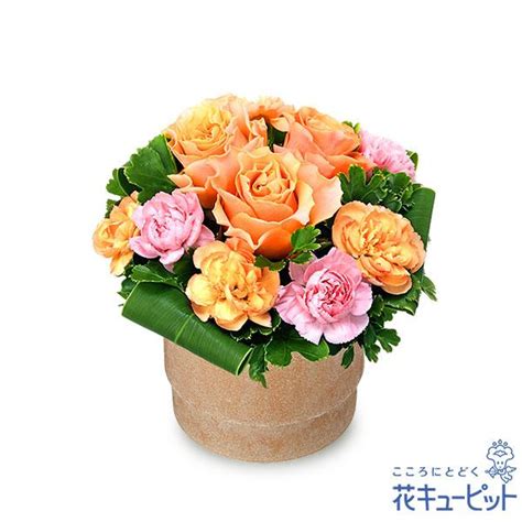 バラ特集 花 プレゼント ギフト 誕生日 花キューピットのオレンジバラのウッドポットアレンジ Nr00 512584インターネット花キューピット 通販 Yahooショッピング