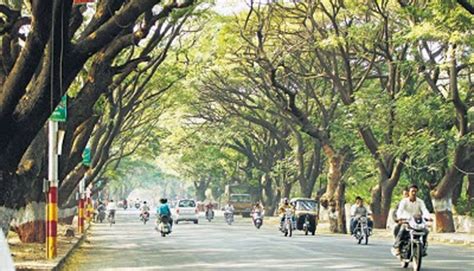 Government To Announce Rs Crore Green Fund To Plant Trees Along