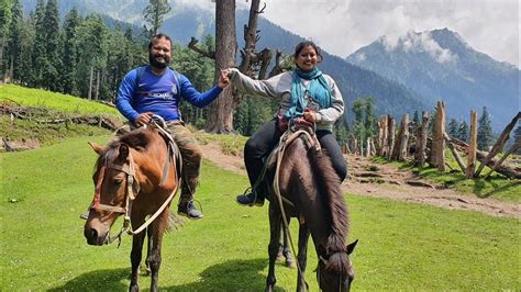 Horse Riding🐎 Pahalgam Valley⛰ Kanimarg🏔 Dabyan🏞 Denow Valley🌲