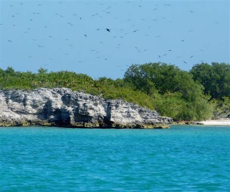 How to Make the Most out of Your Trip to Isla Contoy!