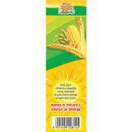 Buy Kelloggs Honey Loop 125 Gm Pouch Online At The Best Price Of Rs 55