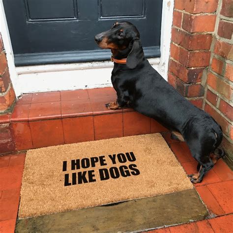 I Hope You Like Dogs Doormat Etsy