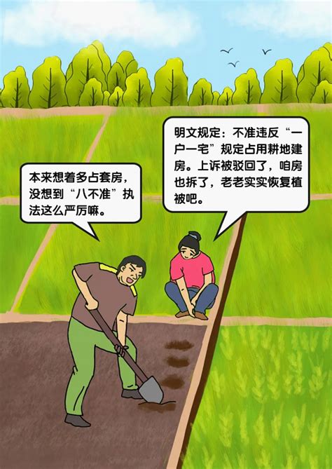 农村乱占耕地建房“八不准”系列漫画 不准违反“一户一宅”规定占用耕地建房 南昌市自然资源和规划局