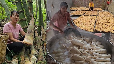 How To Harvest Bamboo Shoots The Process Of Drying Bamboo Shoots For