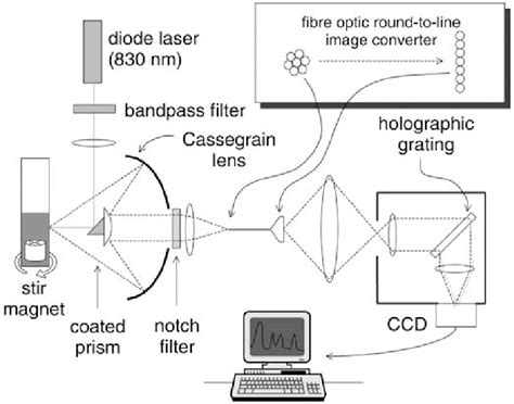 Schematic Diagram Of Raman Spectroscopic System For The Analysis Of Download Scientific Diagram