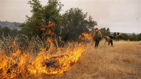 How Big Is Park Fire Near Chico Ca Now How Much Contained Sacramento Bee