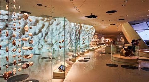 Discover the National Museum of Qatar - Overview