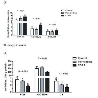 Activities of tricarboxylic acid cycle enzymes (a) and concentrations... | Download Scientific ...