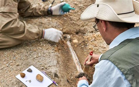 M Ster Experto En Paleontolog A Escuela Artesan A