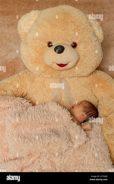 Two Week Old Newborn Baby Sleeping On Teddy Bear Stock Photo Alamy