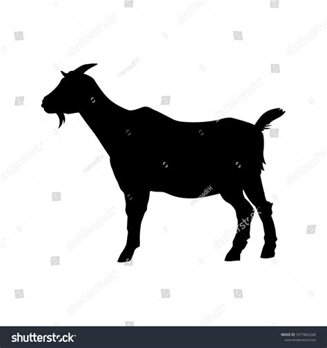 Goat Standing Black Silhouette Side View Stock Vector (Royalty Free ...