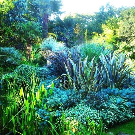 East Of Eden Plants Edinburgh House