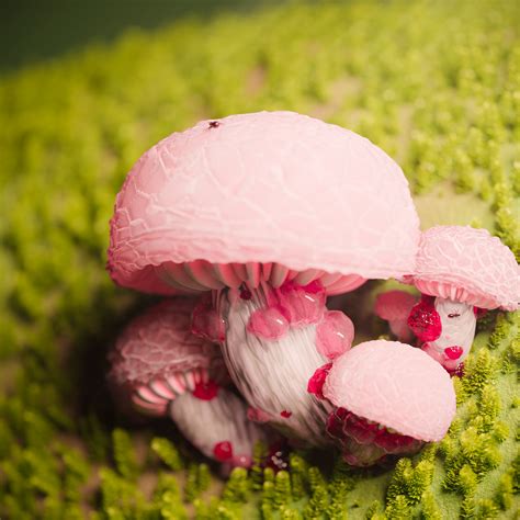 Artstation Pink Mushroom