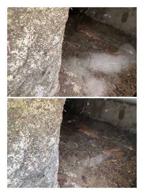 mist inside cracked grave in Florida cemetery : r/Ghosts