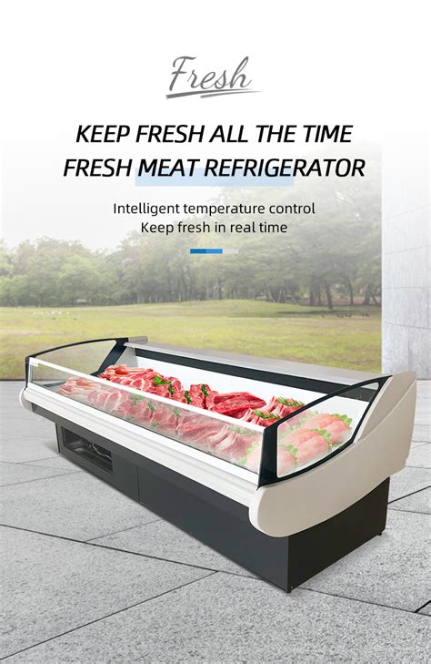 Seafood Fish Butcher Shop Broiler Display Refrigerator Commercial