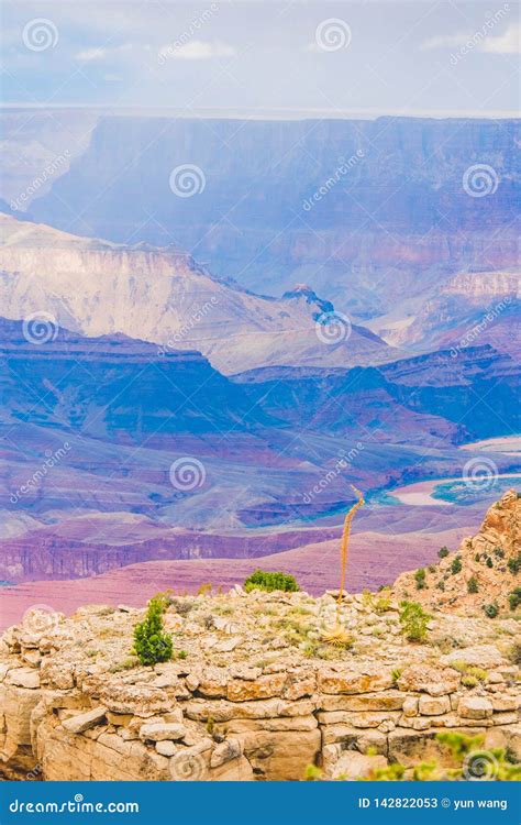 Grand Canyon National Park With A Special Grass Stock Image Image Of Erosion Rock 142822053