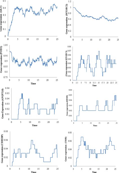 Gene Expressions Of All Entities Of The Petri Net Model Of Angptl