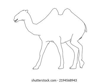 Camel Hand Drawing Sketch Black White Stock Illustration 2194568943 ...