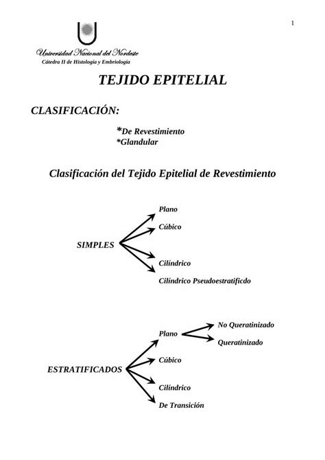 PDF Cátedra II de Histología y Embriología TEJIDO EPITELIAL Cátedra