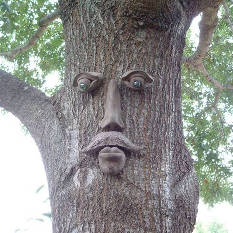 Dagwood Tree Face Tree Faces Garden Design Garden Projects