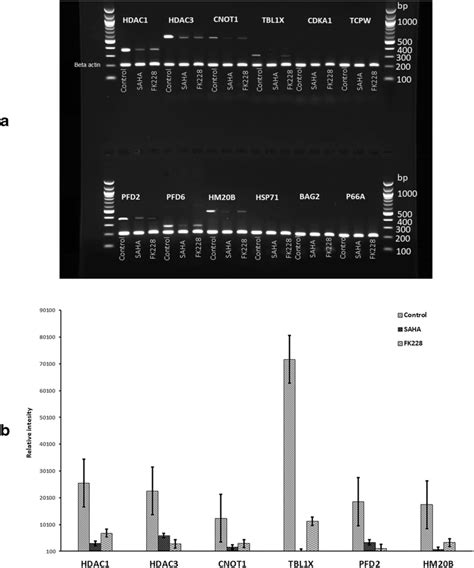 Hdac Inhibitors Saha And Fk Downregulated The Mrna Expression Of