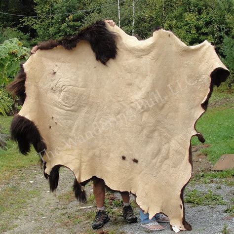 Buffalo Hide Full Size - Wandering Bull Native American Shop