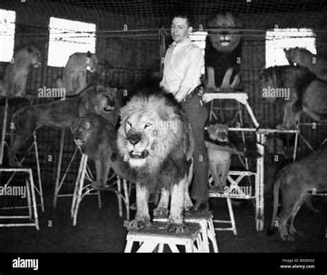 Vintage Ringling Brothers Circus Lion Tamer