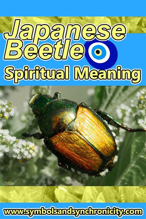 Japanese Beetle Spiritual Meaning Artofit