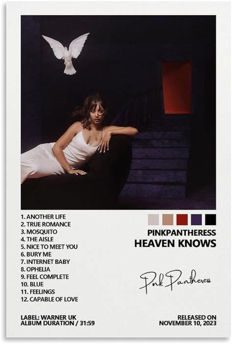 Amazon Mozeu Pinkpantheress Poster Heaven Knows Music Album Cover