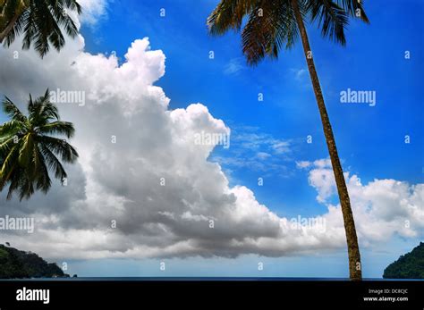 Tropical Sky Trinidad And Tobago Stock Photo Alamy