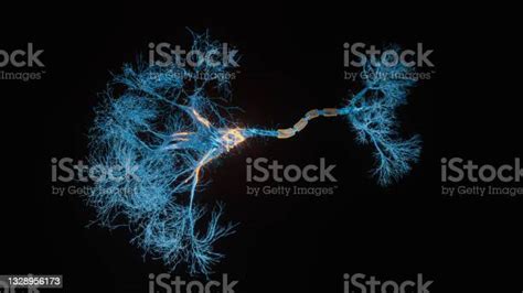 뉴런 셀 클로즈업 보기 신경세포에 대한 스톡 사진 및 기타 이미지 신경세포 나노기술 연결 Istock