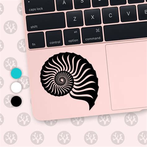 Shell Decal Fossil Fossil Decal Seashell Decals Seashell Decal