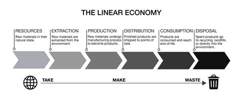 The Linear Economy Global Office Inc