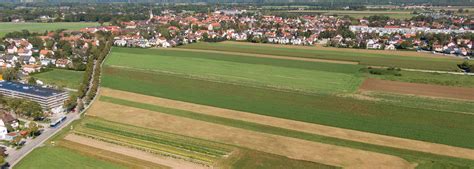 Lerchenauer Feld Bayerische Hausbau