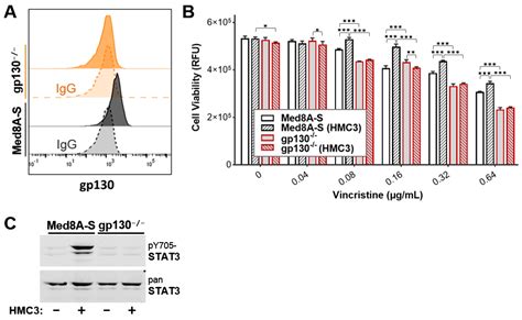 Cells Free Full Text Targeting The Gp130stat3 Axis Attenuates