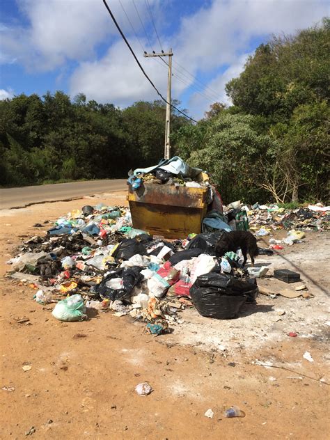 Problemas A Coleta De Lixo Continuam Gerando Reclama Es Jornal