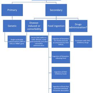 Histamine intolerance treatment options. | Download Scientific Diagram