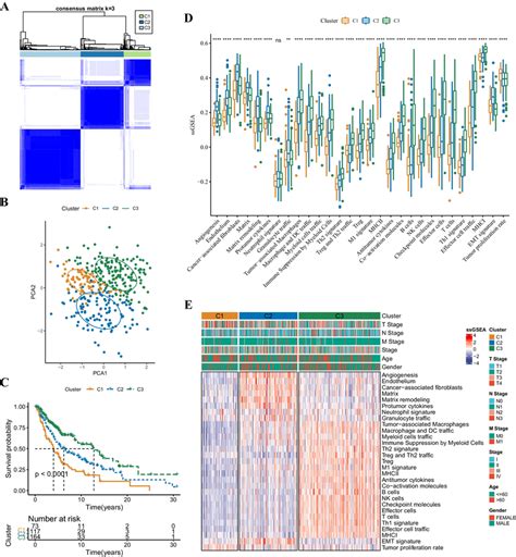 Identification Of Tme Related Molecular Subtypes In Tcga Skcm Patients Download Scientific