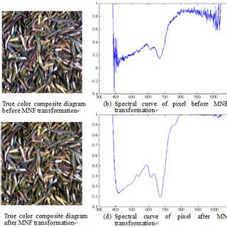 True Color Composite Images And Spectral Curves Before And After Mnf