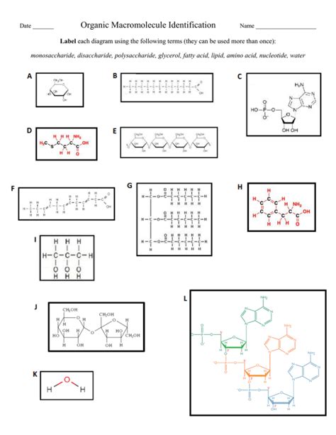 Organic Macromolecule Identification