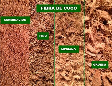 Fibra De Coco Lts Mezcla Fina En Mercado Libre