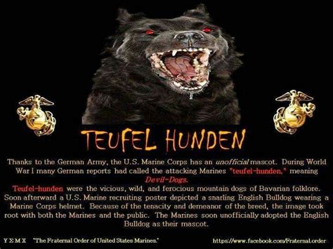 Teufel Hunden Usmc Marines Jarhead Gung Ho Military Quotes Fantasy