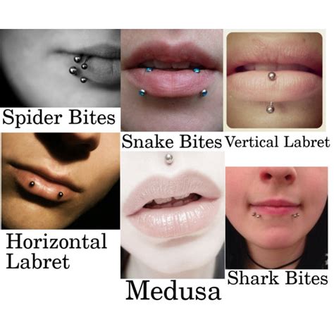 Lip Piercing Types | Fotolip.com Rich image and wallpaper