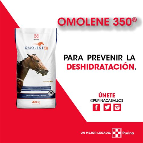 Purina Caballos On Twitter Recuerda Que La Hidratación Es De Vital